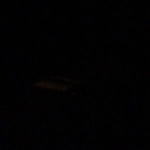 Meet your Posher, Adrian